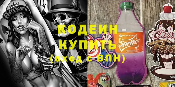 гашик Верея