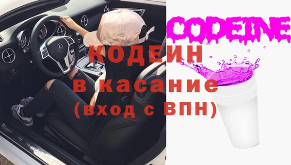 гашик Верея